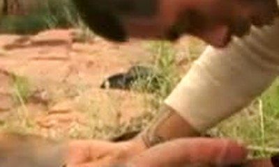 cowboy flick need name of movie